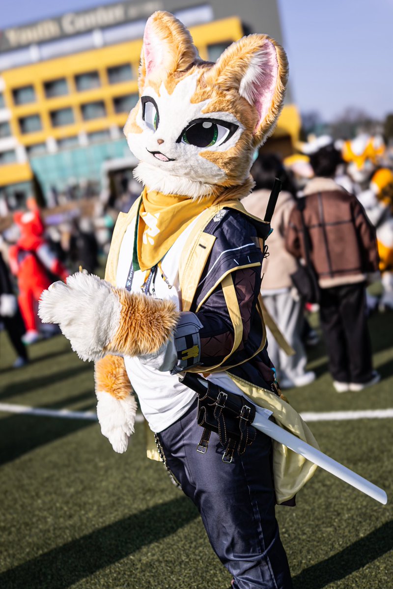 퀘이버 tweet media