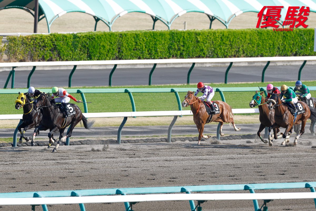 『優駿』編集部 tweet media