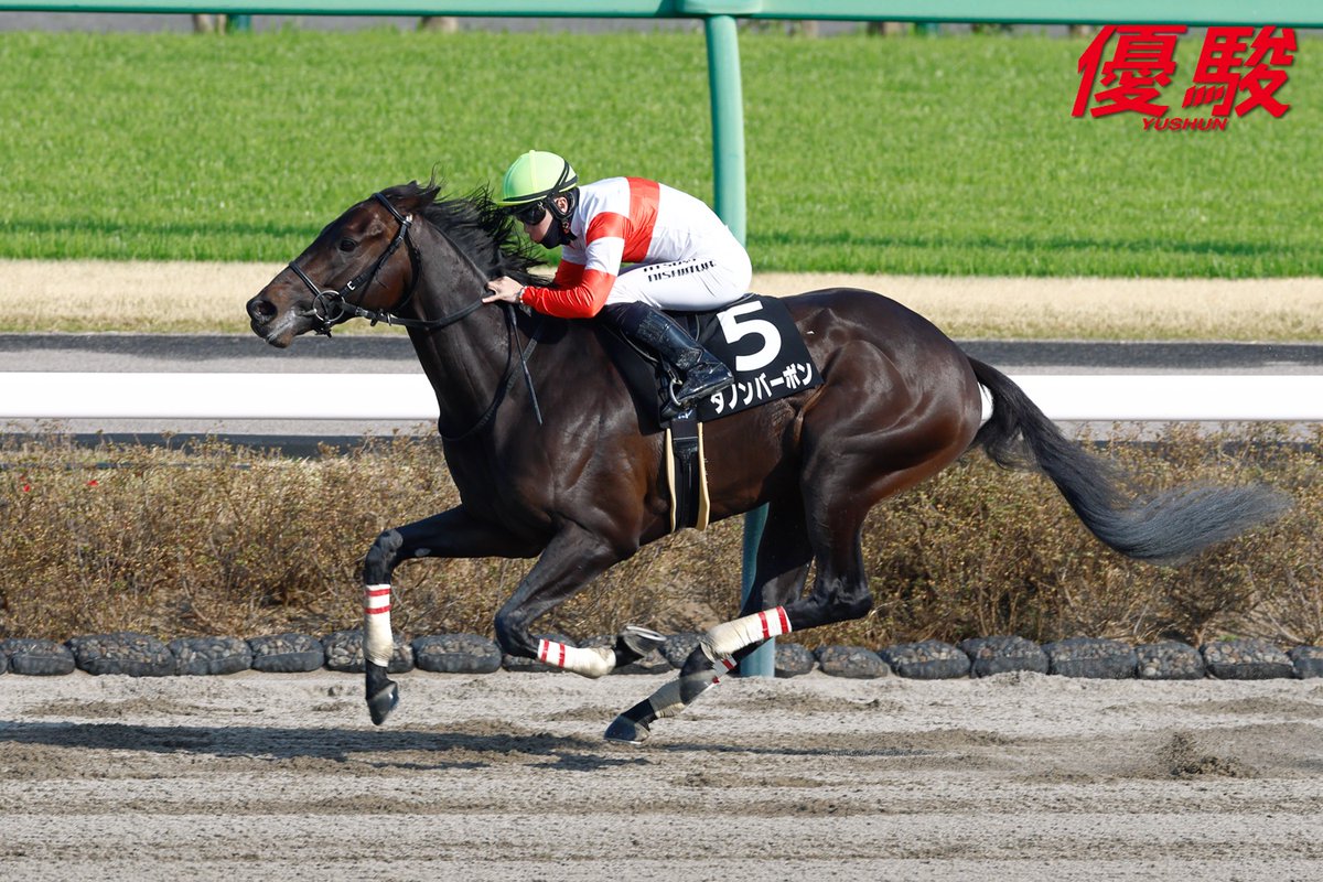 『優駿』編集部 tweet media