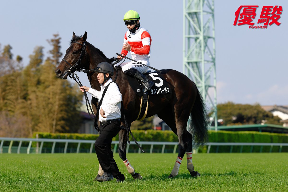 『優駿』編集部 tweet media