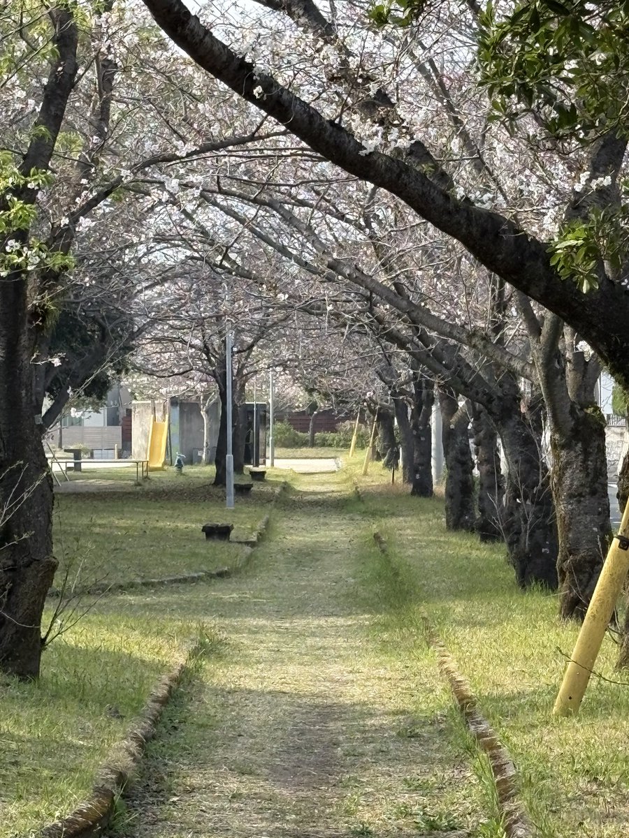 吉峯 瑞樹 tweet media