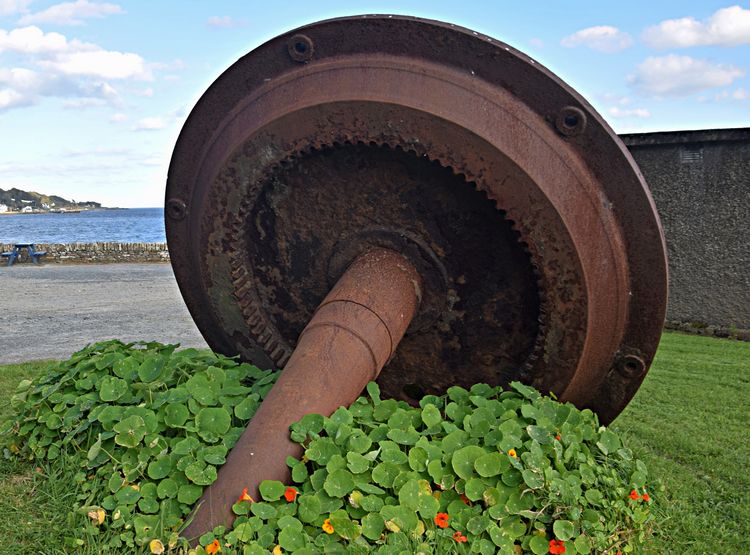 WeLoveDonegal tweet media