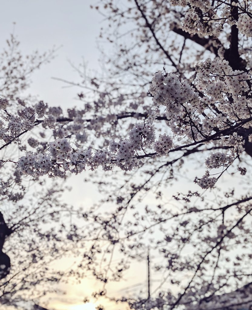 LC (@a4114) on Twitter photo 