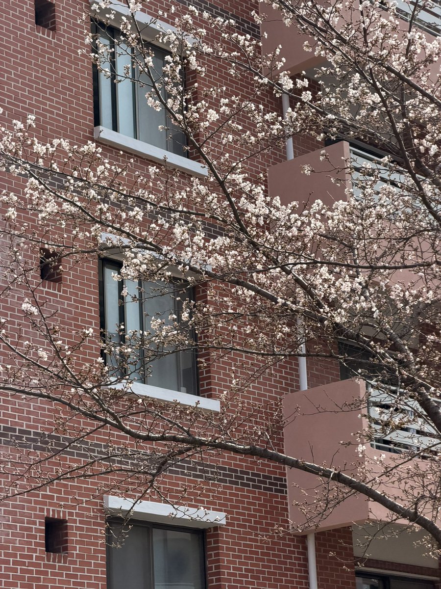 ㅎㅖㅁ tweet media