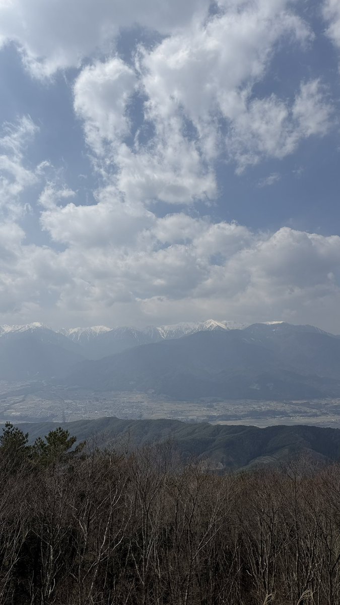 山下舞弓 tweet media