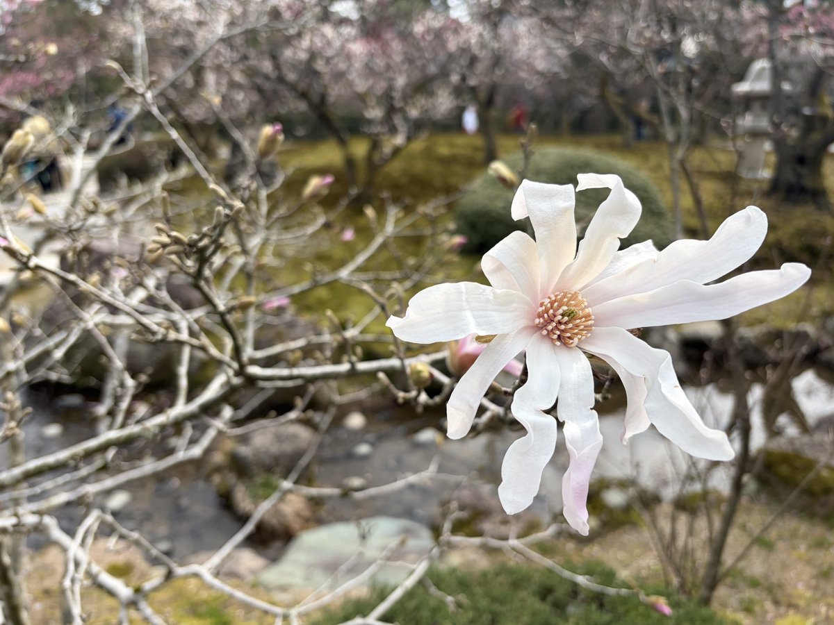ふみえ＠金沢通訳案内士&世界遺産検定マイスター tweet media