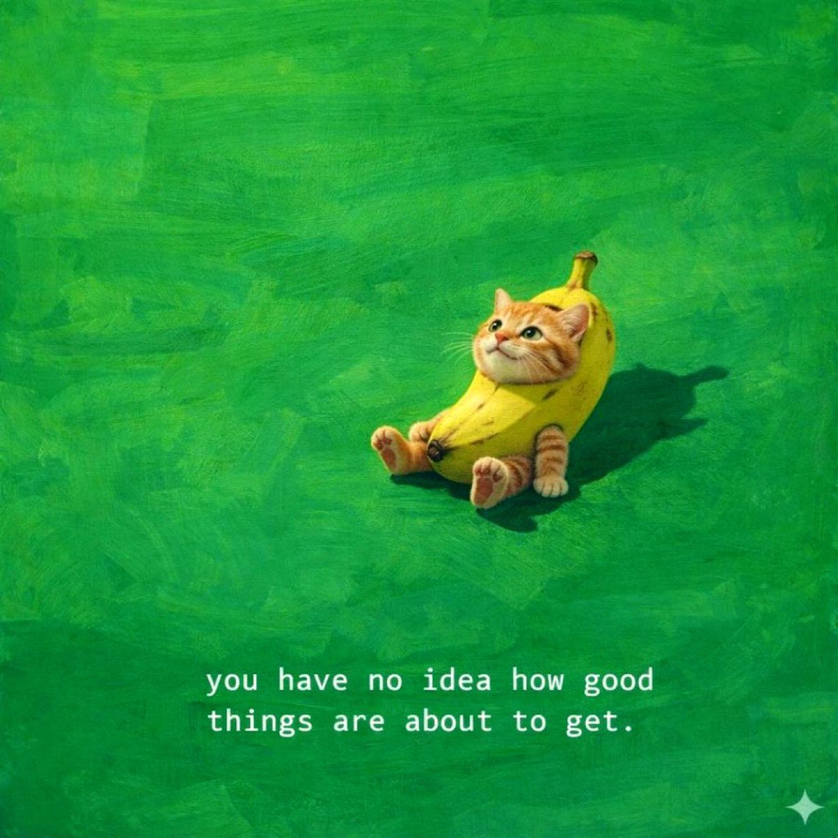 C R Y P T O M M Y tweet media