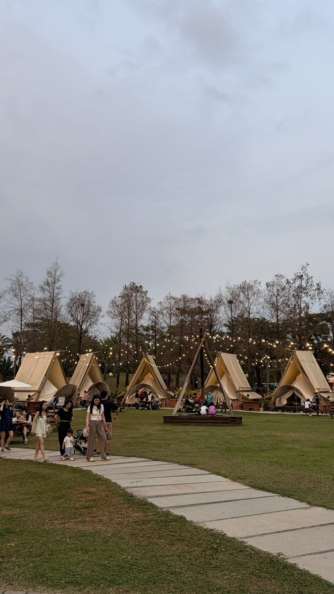 野人花園 tweet media