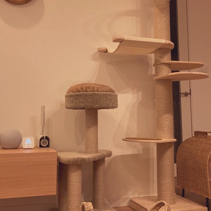 舞茸うまい tweet media