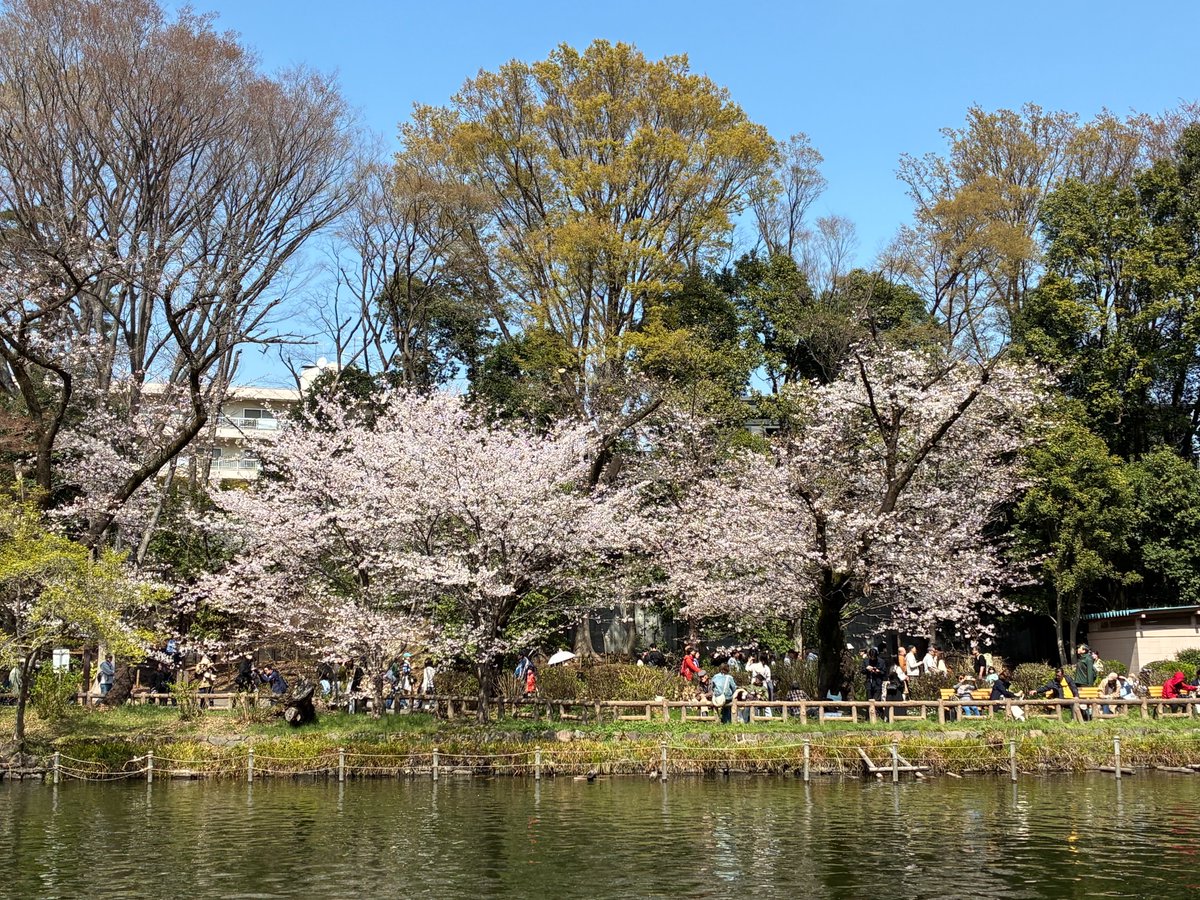 Tomoya Nakamura tweet media