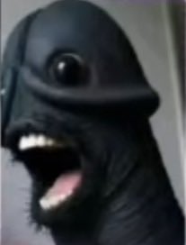 sammy estupida maricona tweet media