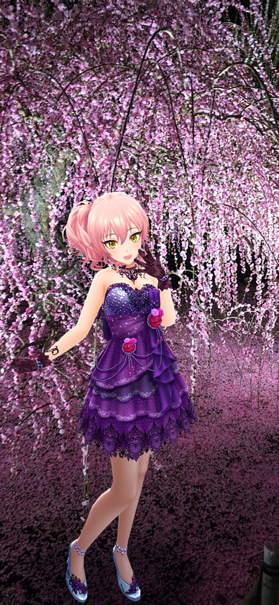 桐古堂 tweet media