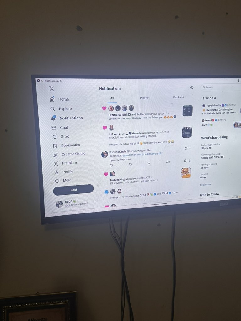 CEDA 🥀 🍃 tweet media