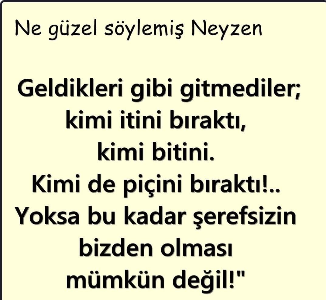 ozlem kaplan tweet media