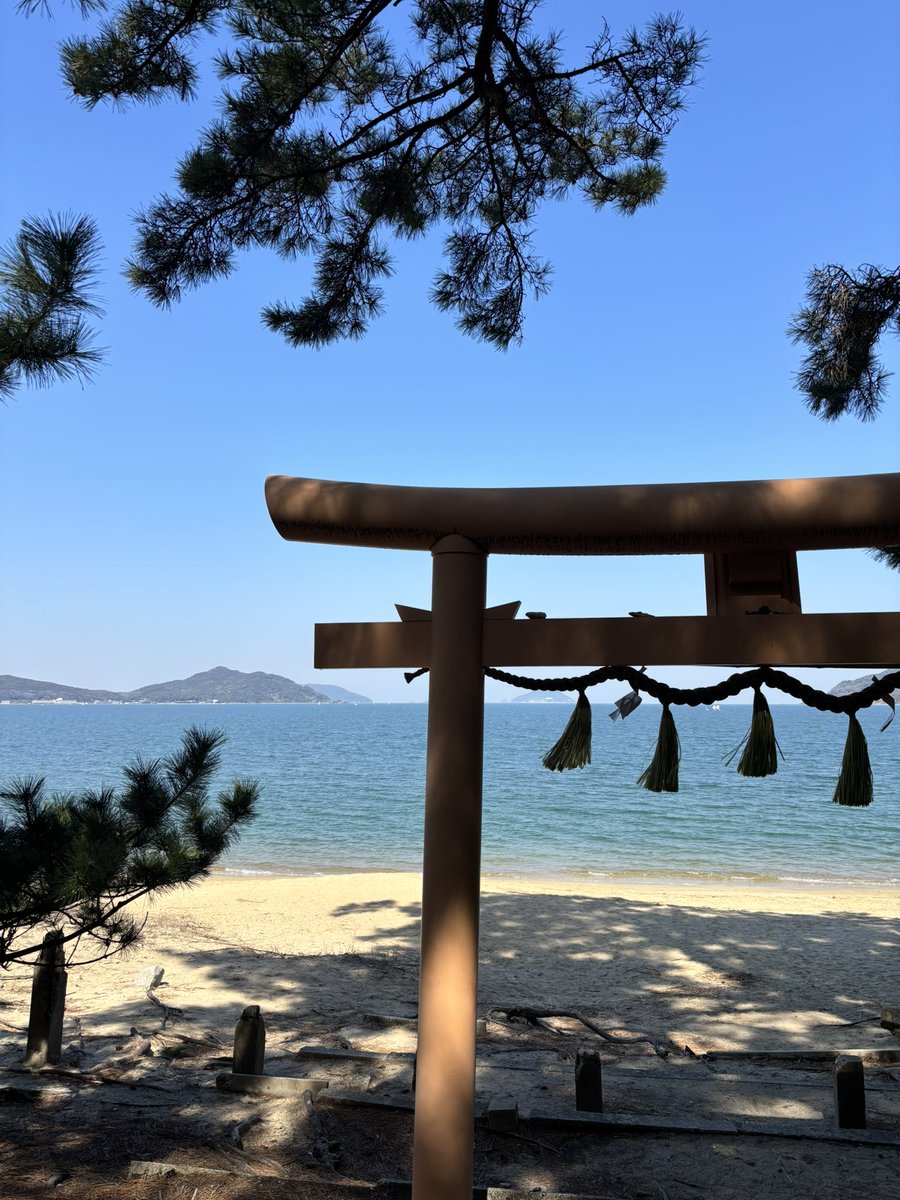 まどろむくまお。 tweet media