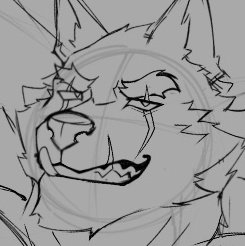 🦁𝐀𝐔𝐑𝐄𝐋𝐈𝐔𝐒 🦁 tweet media