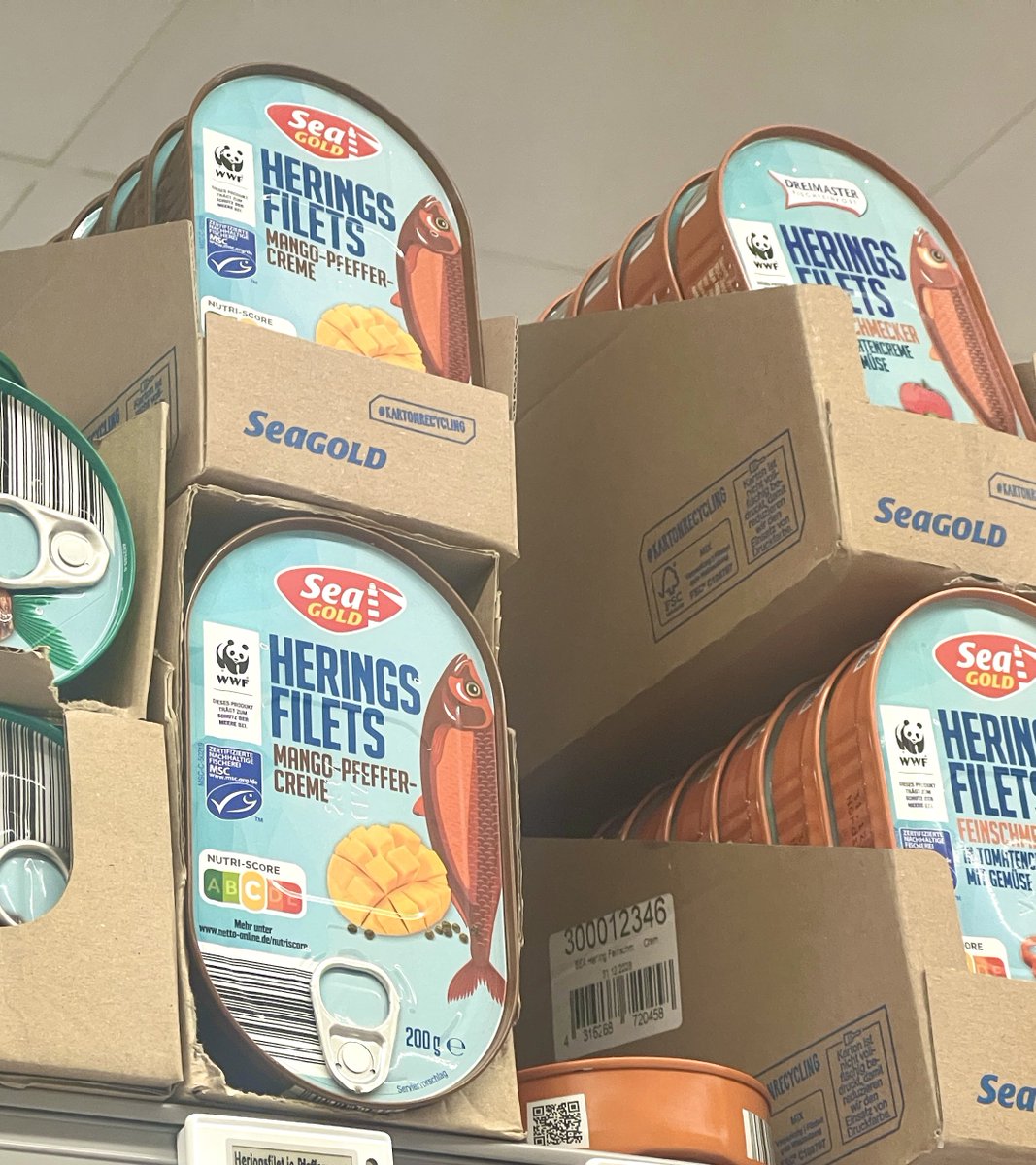 🇩🇪ブﾙｽﾄ＠ドイツ雑推帳 tweet media