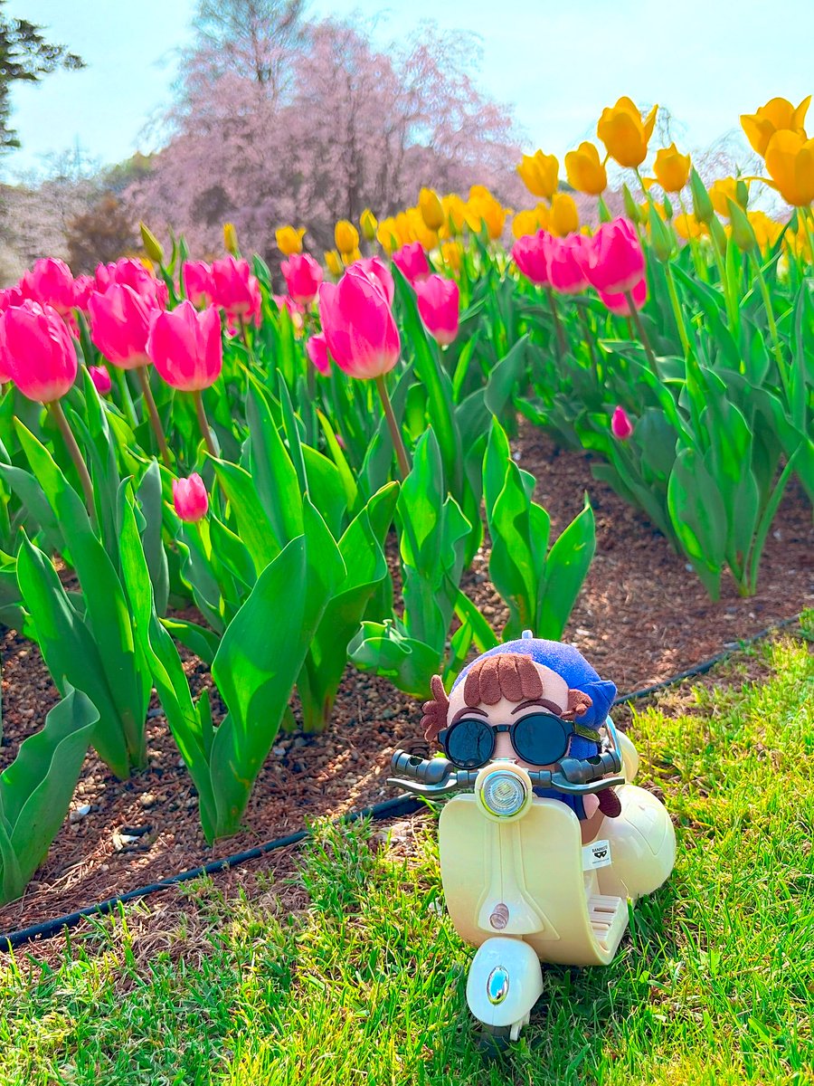 しぃ🍤 tweet media