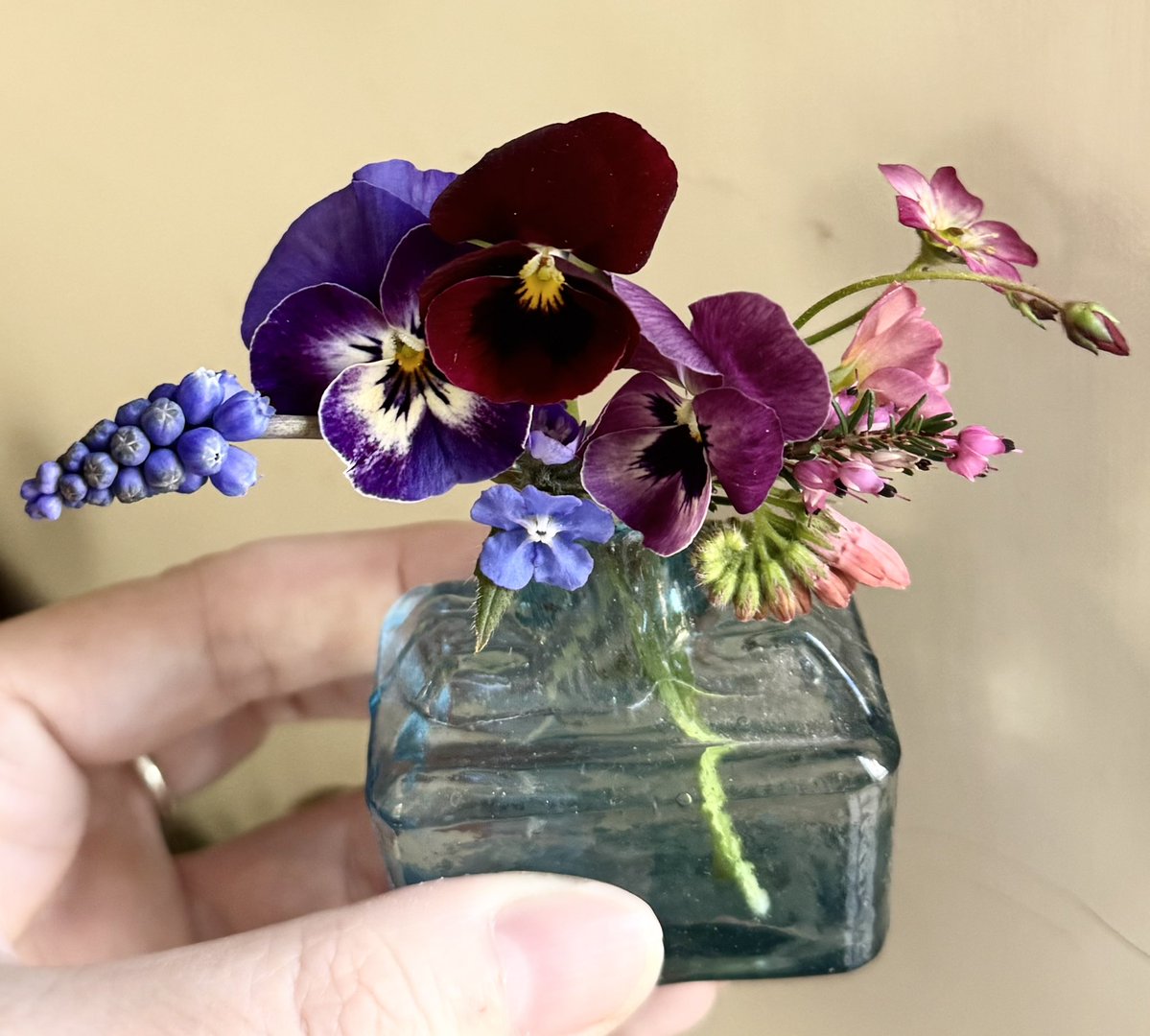 Emma Mitchell 💙 tweet media