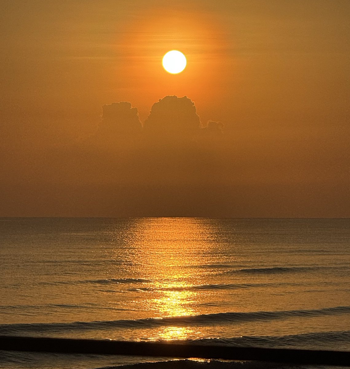 Saddamovic tweet media