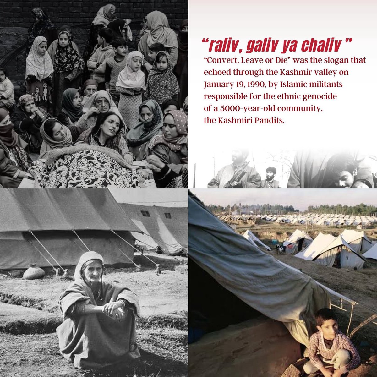 𝐉𝐨𝐝 𝐈𝐧𝐬𝐚𝐧𝐞 tweet media