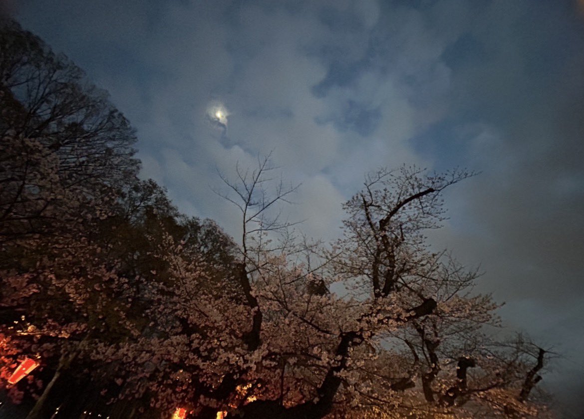 ゆーこ tweet media