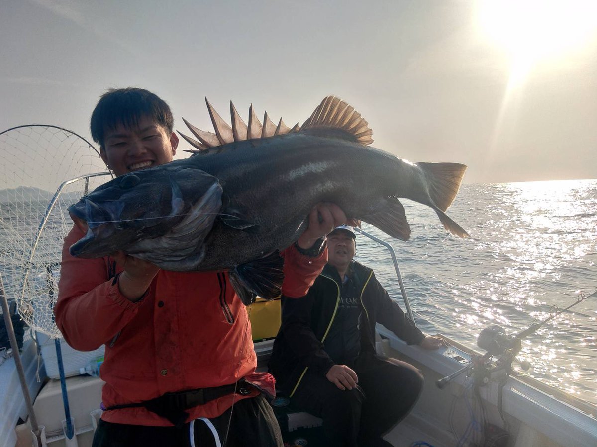 こ〜や🐟 tweet media