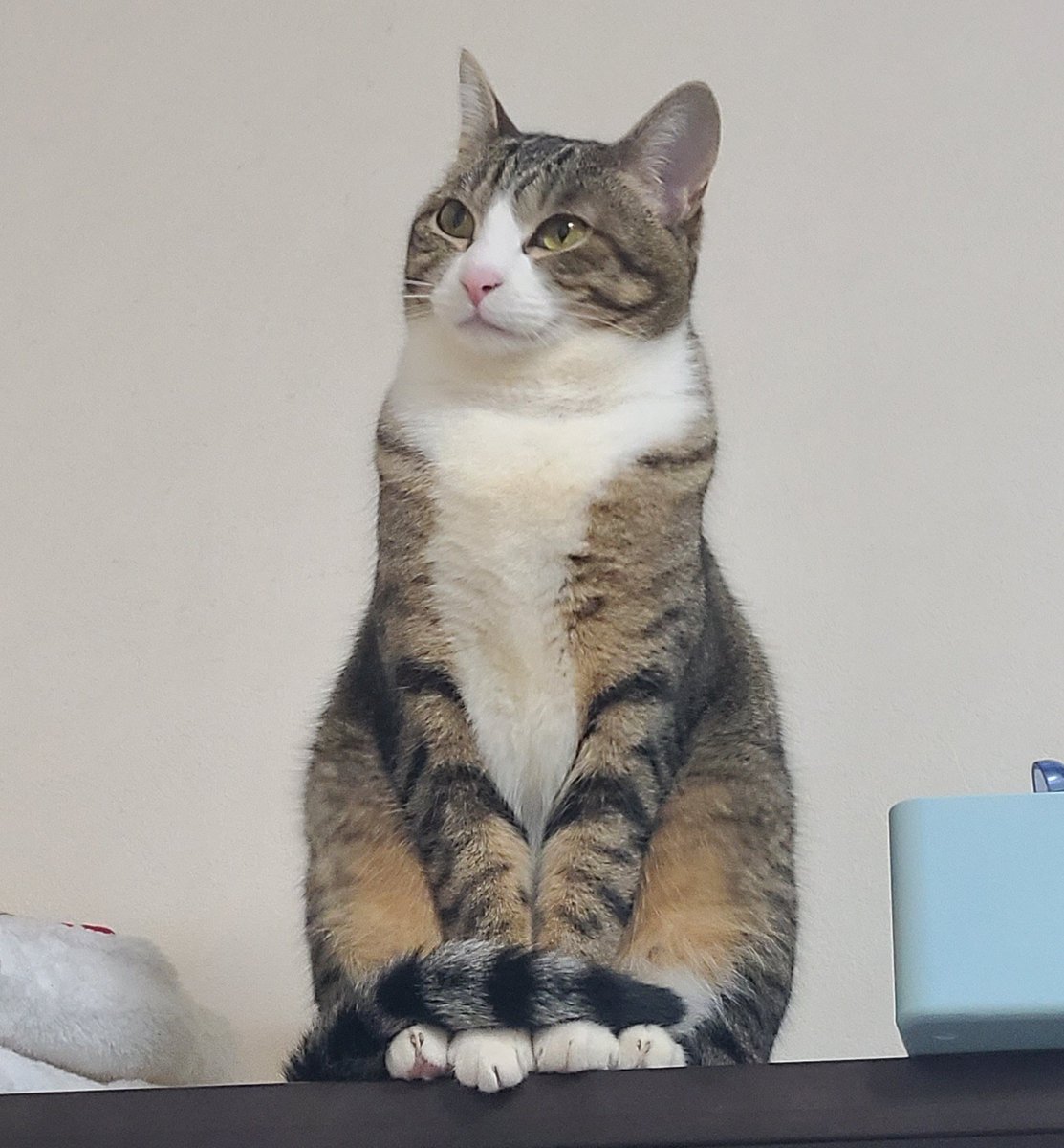 りゅう二郎@DFFOO tweet media