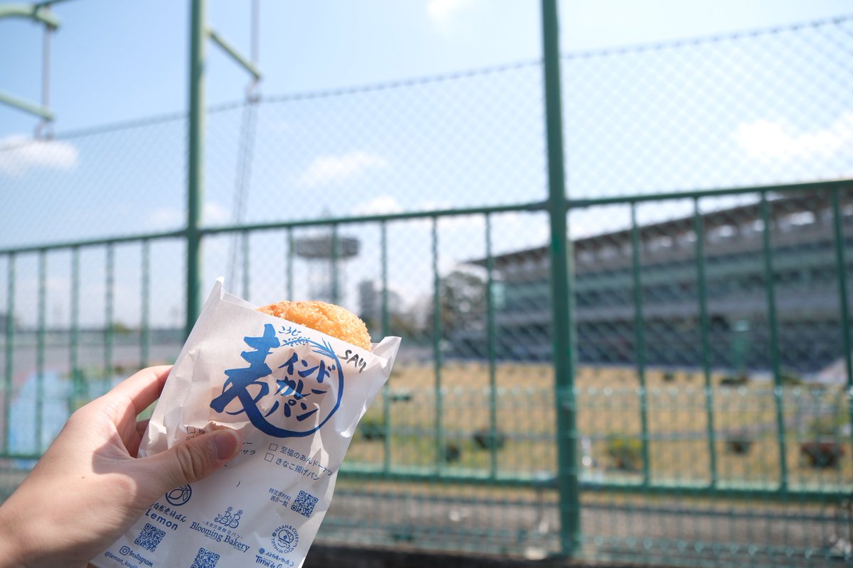 溶けかけてるうさぎ tweet media