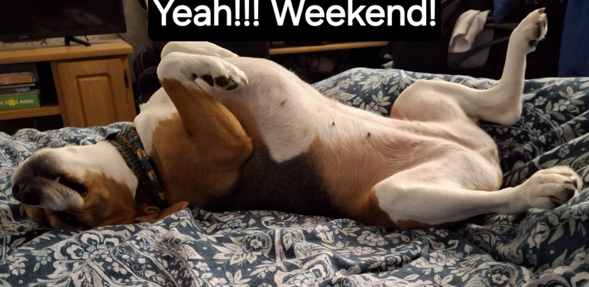 Pietje Pool-Groot tweet media