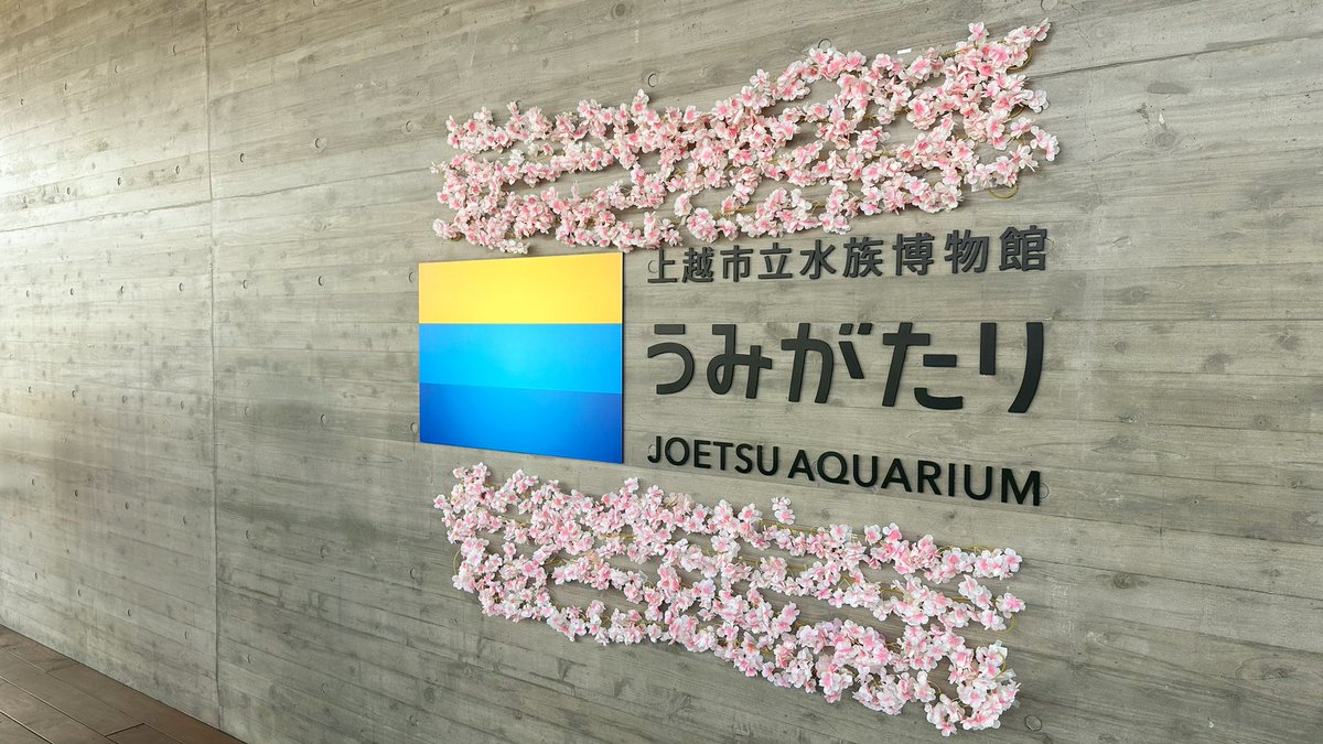 TAKA-RV@AR(+T)📸GOsnapshot(るぷりすりーと) tweet media