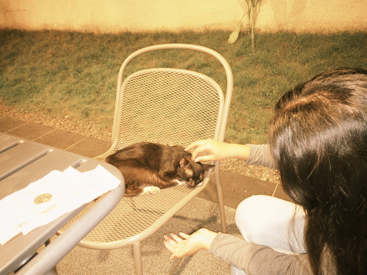 ala ⸝⸝.ᐟ⋆ tweet media