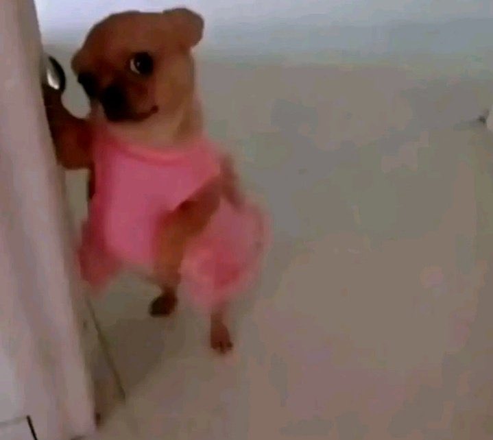 Ece 🦚 tweet media