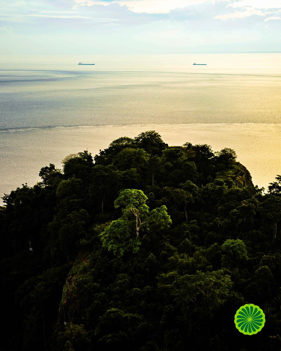 ologistph's tweet photo. Ngayong #EarthHour, nawa'y pagnilayan natin ang ating pakikisama sa Inang Kalikasan, ang siyang nagbibigay ng kayamanang ating tinatamasa. Hinihikayat namin ang lahat—mga kapwa tao, organisasyon, korporasyon, at gobyerno—na tugunan ang ating responsibilidad sa ating planeta. https://t.co/ggadpuLnbL