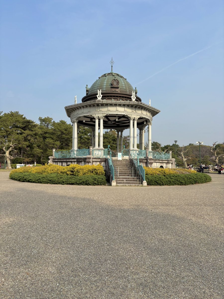 🆕めぐね🐹🌱 tweet media