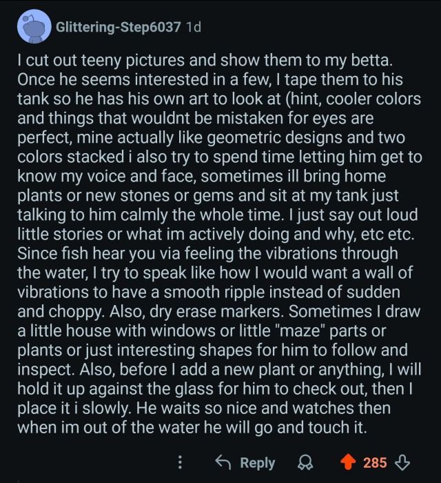 horse dentist tweet media