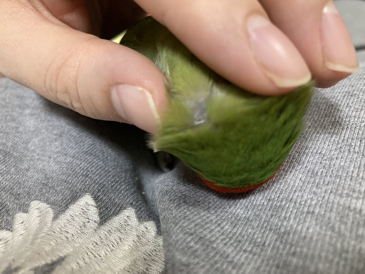 飼い主のしごとだもんねぇ