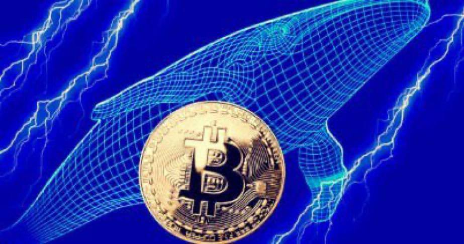 FIRE侍/ビットコイン専業投資家 tweet media