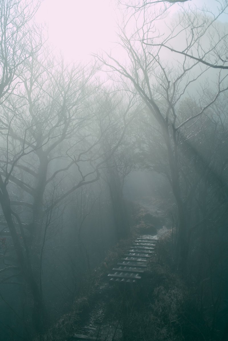 ミヤウチ / UNITBASE Inc. tweet media