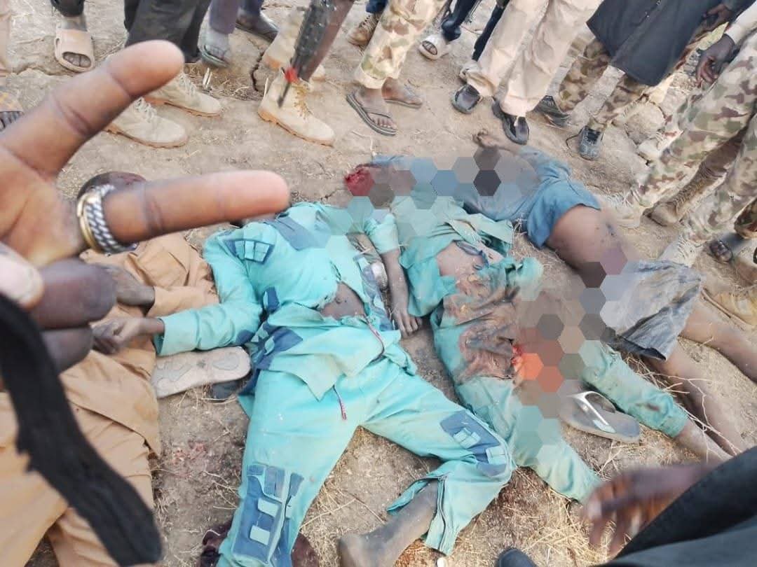 𝕊𝕀𝕊𝕋𝔸𝕃𝕀𝔸ℕ𝕆 🇳🇬💐 tweet media