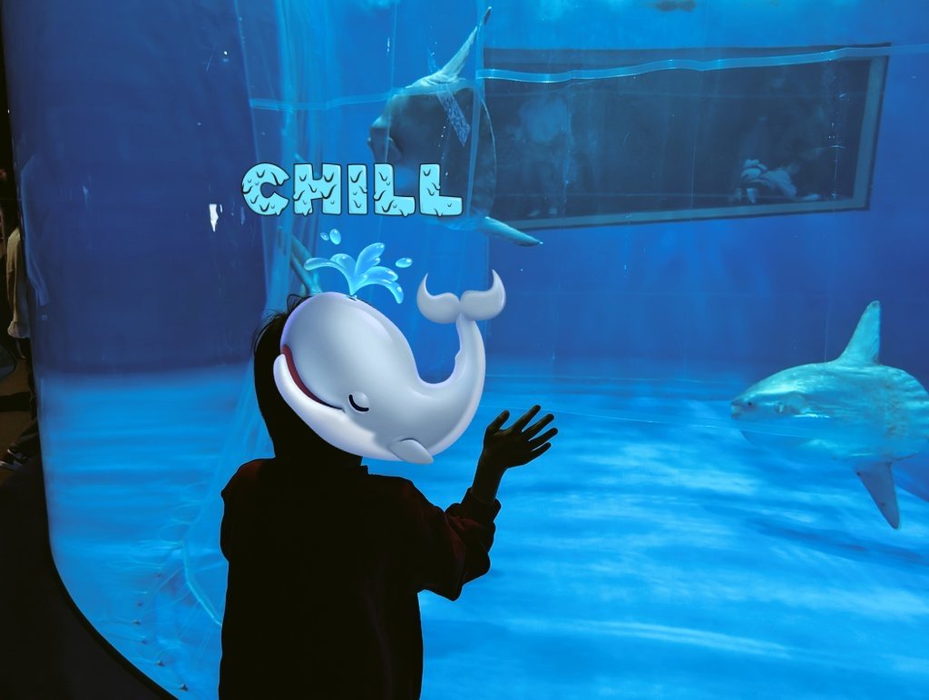 けんＴ tweet media