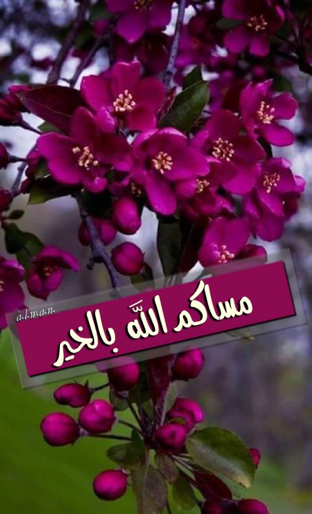 🌸maha🌸 tweet media