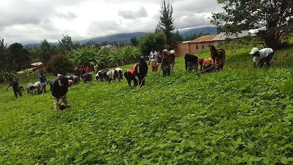 Ndoli #TeamPK๐ท๐ผ tweet media