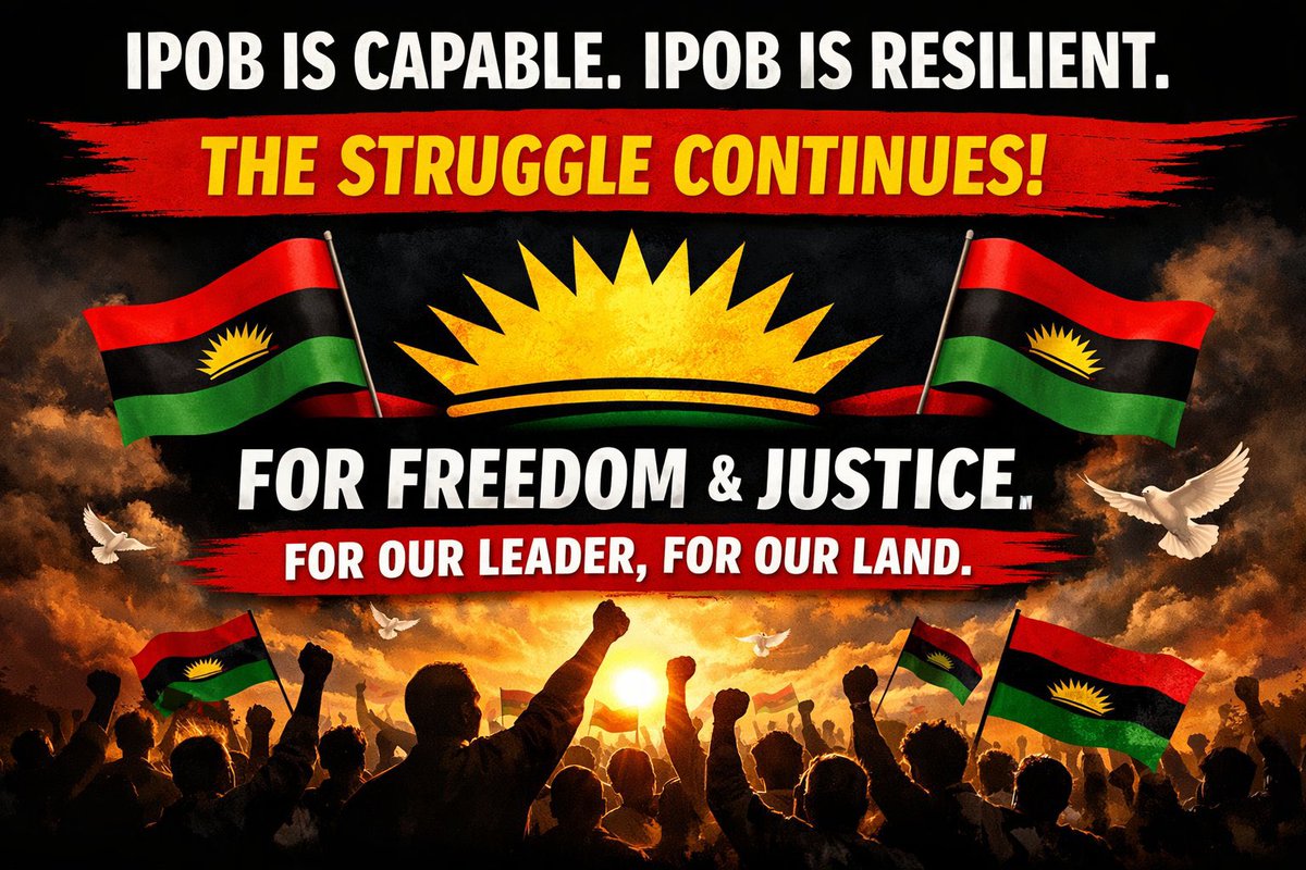 David Wondas tweet media