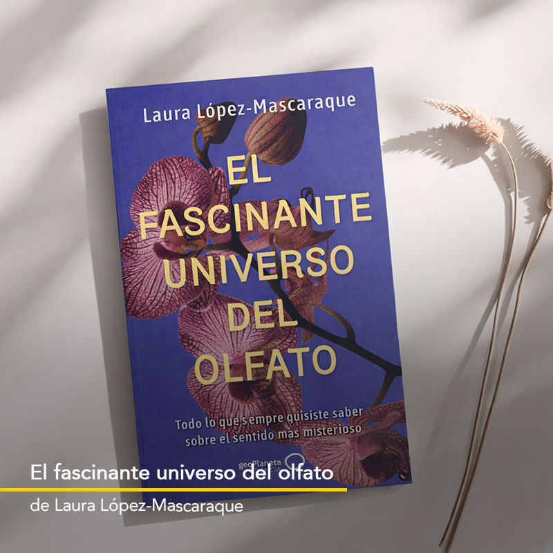 Academia del Perfume tweet media