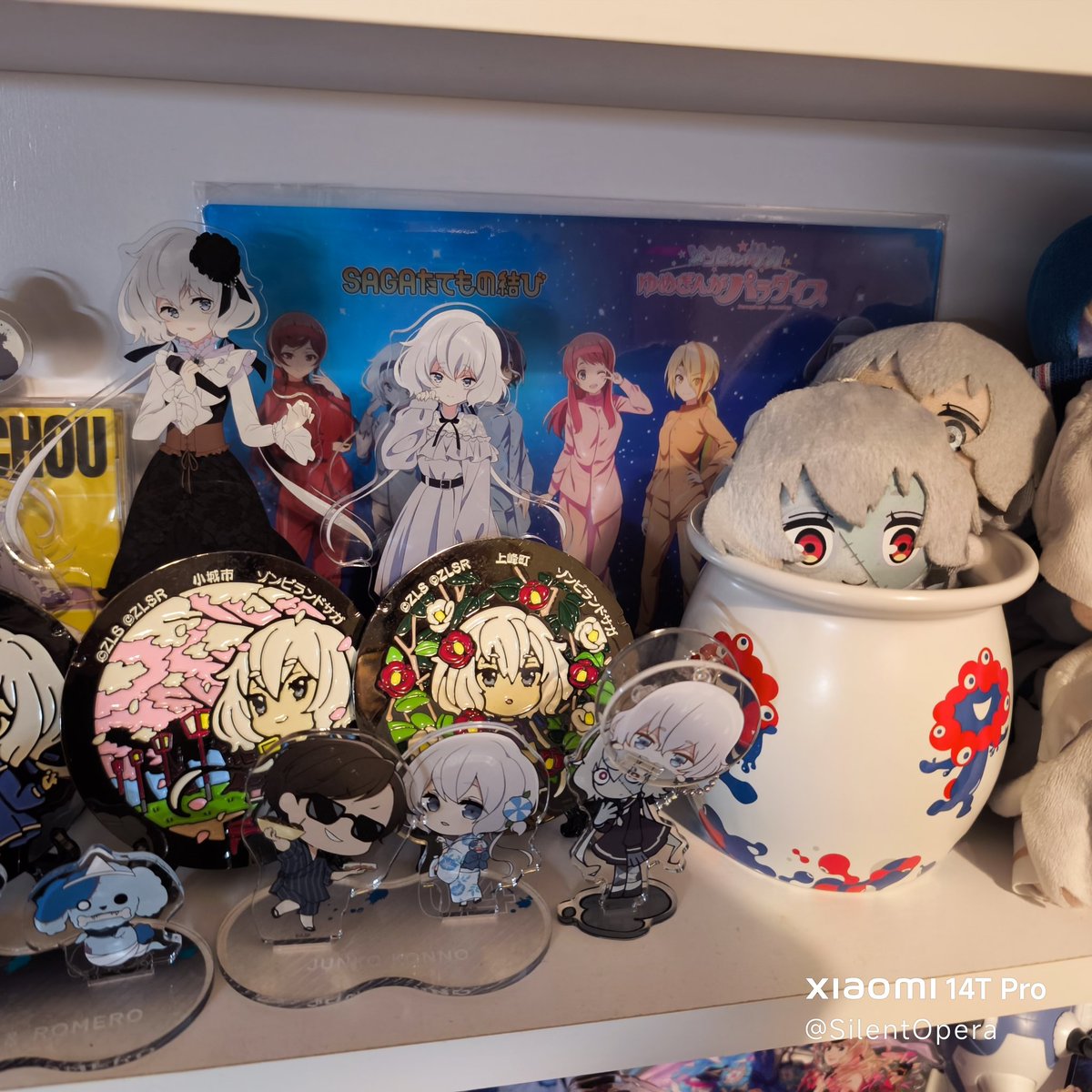 琴浦🍄4/4,5横浜4/6有楽町 tweet media