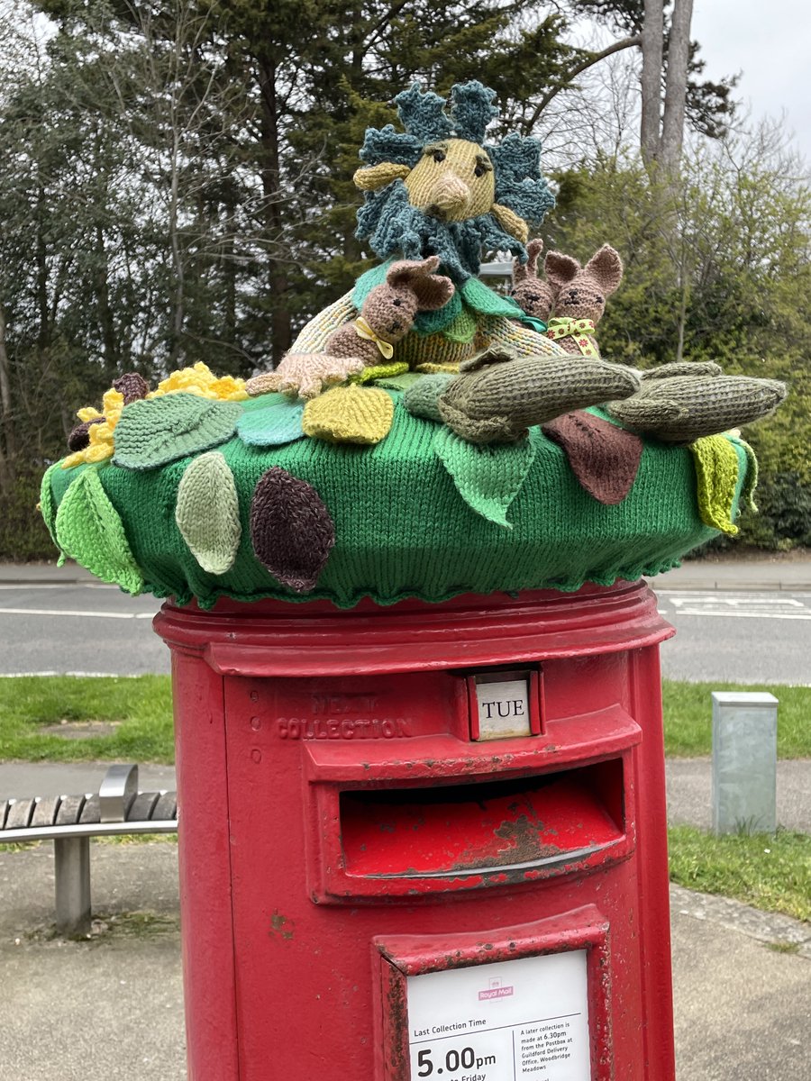 Liz Lloyd tweet media