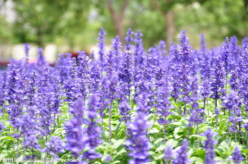 Bharat chawla tweet media