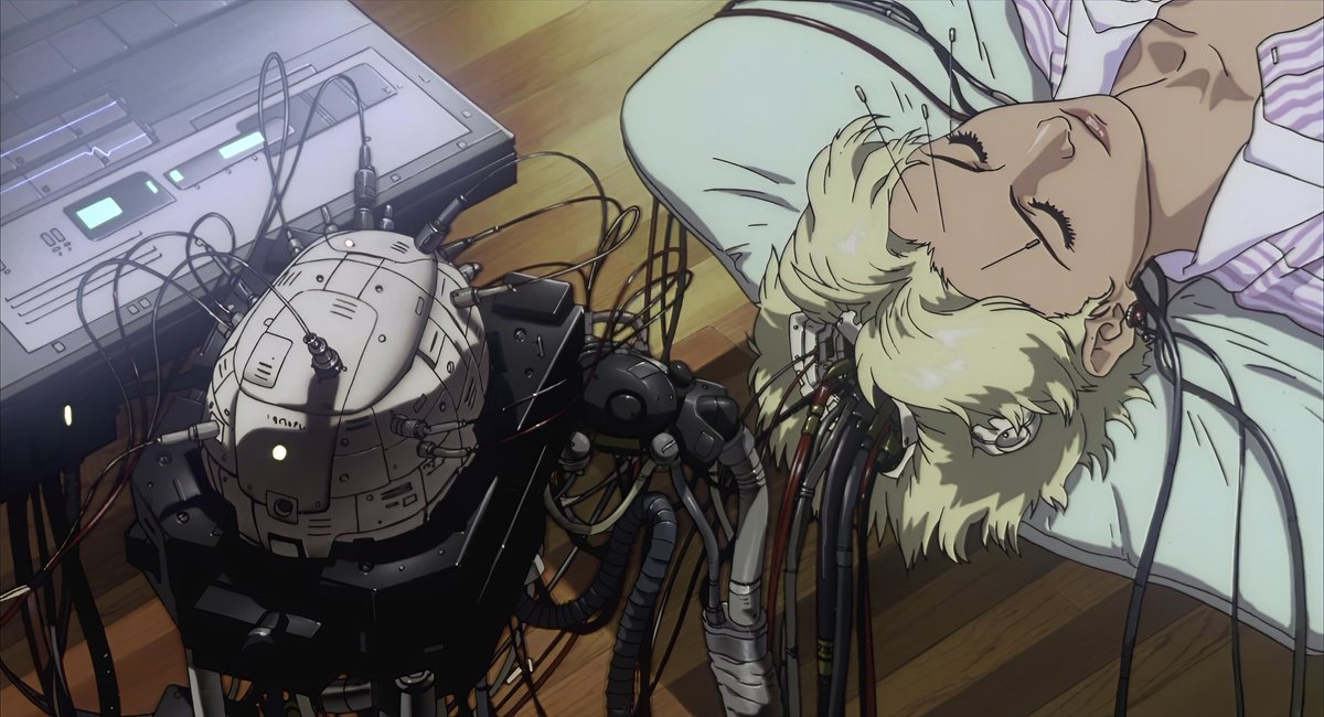 tachikoma 🇵🇱 🇵🇸 tweet media