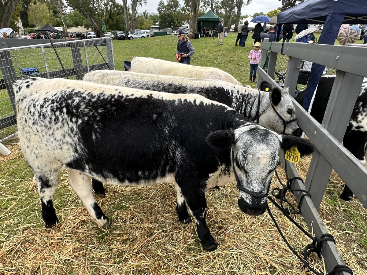 James Sexton tweet media